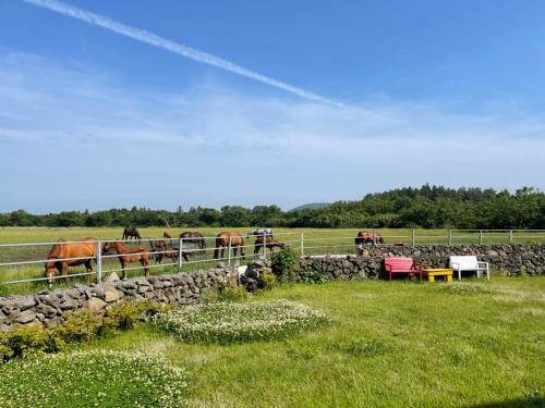 Surrounding environment, 제주스럼 커플룸 1호 near Hallasan Seongpanak