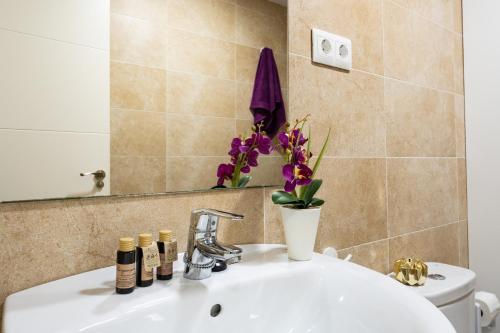 Classic Apartment image 2