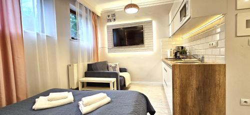 Semi-Basement Apartment image 9