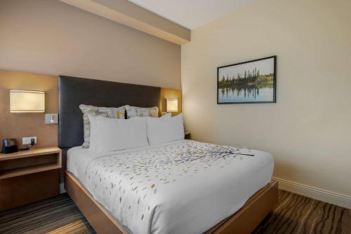 1 queen bed