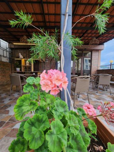 hotel Vaxx – Batumi, IL