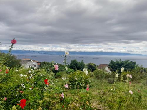 ทัศนียภาพ, Lost in Thyme in เฟเตรา