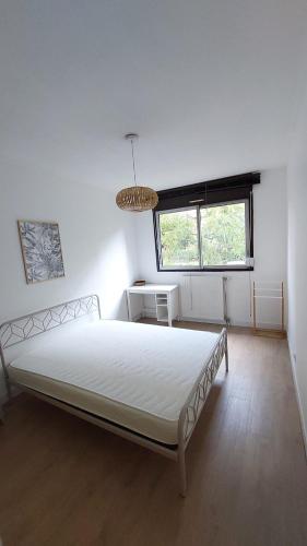 Appartement Montpellier avec piscine near Persilpizz