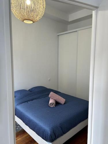 Le Toulousain 002 - Appartement Cosy en Hypercentre - Quartier Jeanne d'Arc, Toulouse (photo 6)