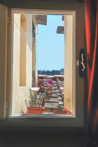 Apartments Florence Piazza Signoria Terrace - image 7