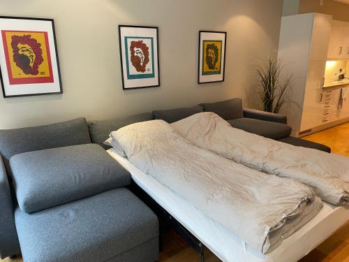 Moderne leilighet i Bergen sentrum