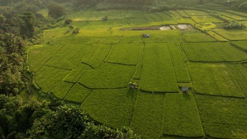 バンブー インダー ホテル9