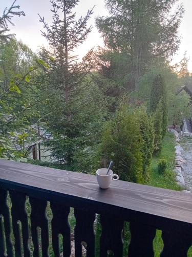 Pensiunea Delia in 瓦特拉摩奧杜維泰