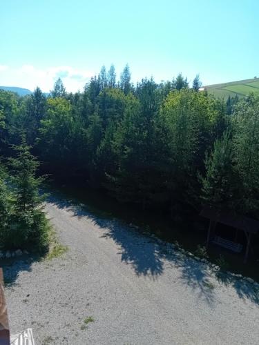 Pensiunea Delia in 瓦特拉摩奧杜維泰