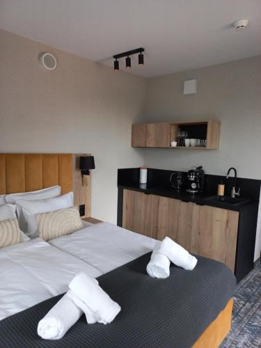 Komfortowy Apartament z widokiem na góry z sauną oraz basenem Hotel Złoty Horyzont Szklarska Poręba, Szklarska Poręba (Foto 9)