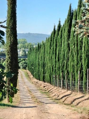 Camugnano farm, Siena