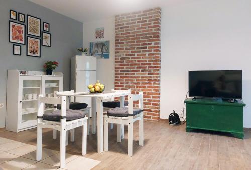 Cosy Apartment with Terrace for 2 Guests and Pets in the Center of Vodice, Vodice