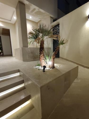 Coquet appartement avec piscine a 10min de l'aeroport Tunis - family only in Ariana