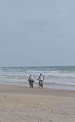 Eden Garden Tujereng gambia in 圖赫林