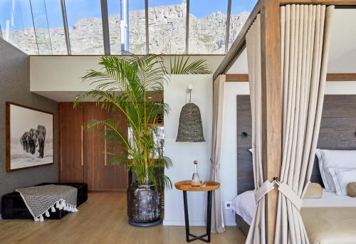 Atzaró Cape Town - image 14