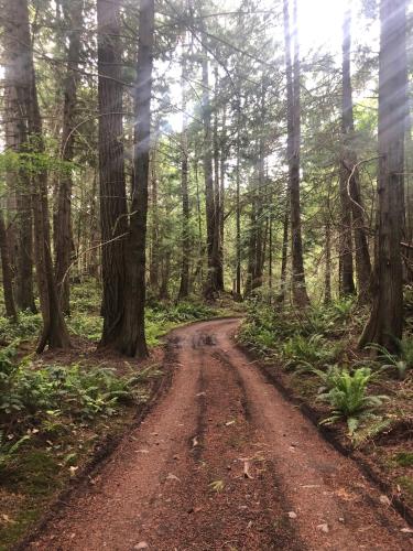 Thetis Island Get Away Cottage in North Galiano, Canada