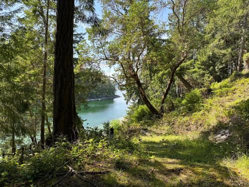Thetis Island Get Away Cottage in North Galiano, Canada