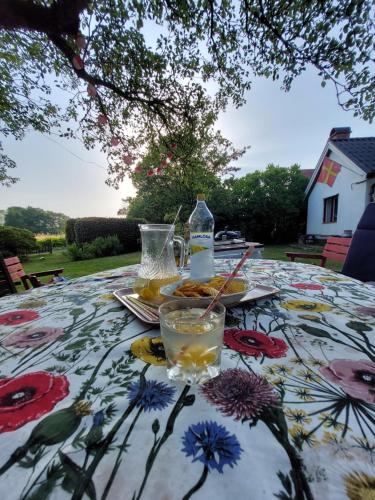 View, Fridfullt sommarhus mitt pa Osterlen in Garsnas