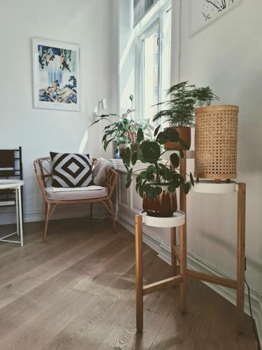Bright and charming apartment from 1878 with view to the new National Museum in Oslo, Oslo (photo 5)