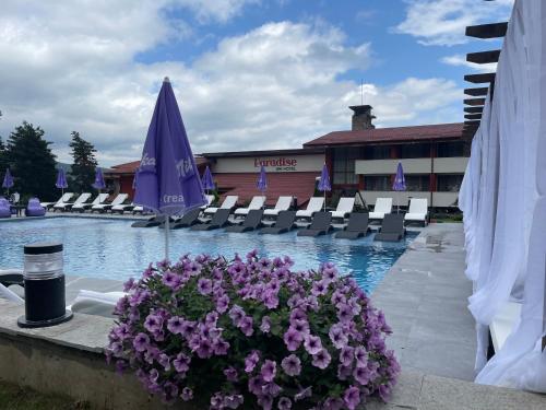 Paradise SPA Hotel - image 14