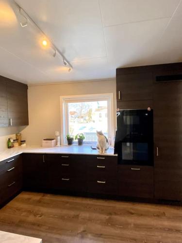 ห้องครัว, Modern house in secluded central Orkanger in อูร์คังเงอร์