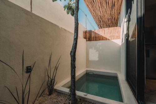 Departamento con piscina privada! in Tulum, Mexico