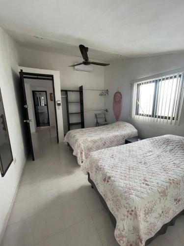 Merida Garcia GInerés