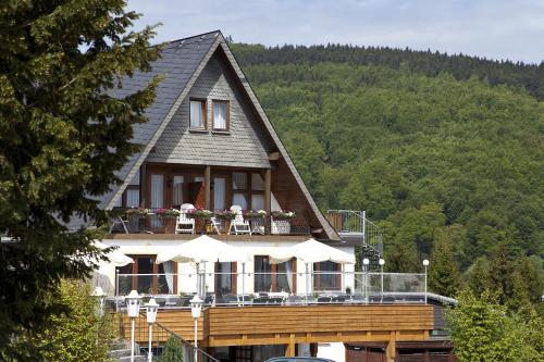 Wald Hotel Willingen - image 7
