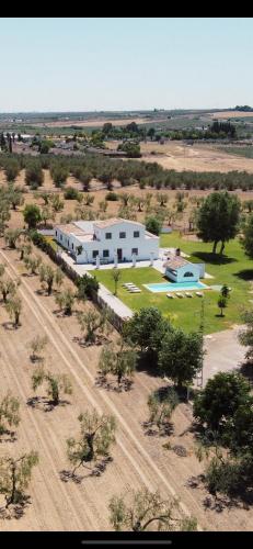 Finca el Lobito, Sevilla (Foto 6)