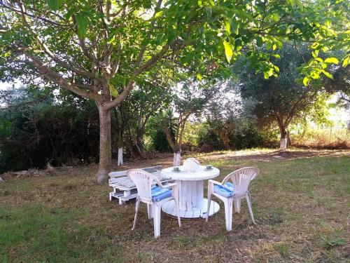 Anelia's Luxury Studio in Corfu Anelia's Luxury Studio in Corfu