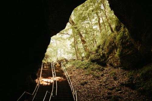 Mammoth Cave Lodge and Cabins in Mammoth Cave, USA