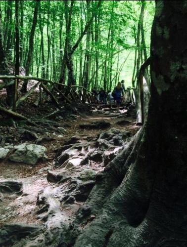 18th Century Samnium Stone Residence