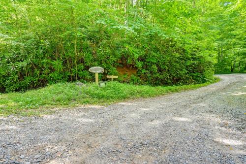 Pet-Friendly Rustic Bryson City Cabin with Fire Pit! - main image