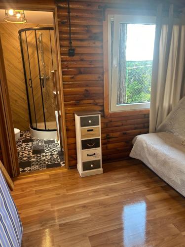 1 twin bed, 1 sofa bed