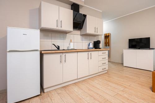 Studio with Terrace image 2