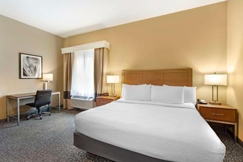 Best Western Plus Surprise-Phoenix NW - image 10