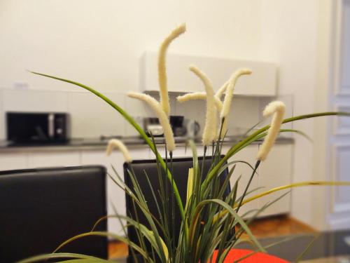 Three-Bedroom Apartment image 10