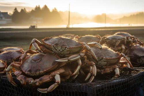 1 block to beach, Private Hot Tub, Fire Pit and BBQ 1 block to beach, Private Hot Tub, Fire Pit and BBQ