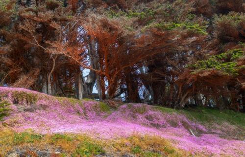 1 block to beach, Private Hot Tub, Fire Pit and BBQ 1 block to beach, Private Hot Tub, Fire Pit and BBQ