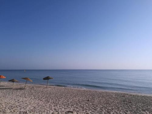 Pied dans l'Eau à Sousse méditerranéen (Pied dans l'Eau a Sousse mediterraneen) in 查特馬里亞姆