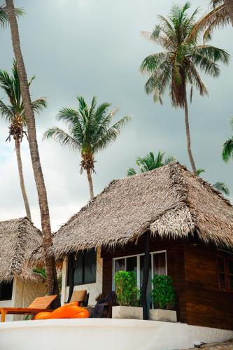 Wild Wood x Hansa Beach Fitness Resort in Ko Pha-ngan