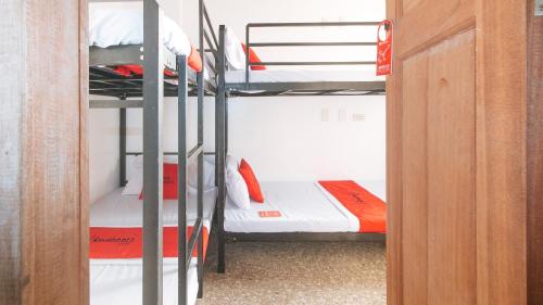 Quadruple Room image 10
