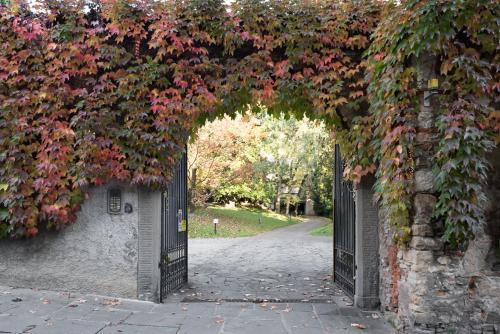 REGO APARTMENTS SAN TOMASO - Boutique Aparthotel with some off-site apartments in a Charming Historic District close to Upper Town, Bergamo (Foto 4)