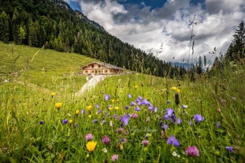 Hinterkeilhof in 比紹夫斯維森鎮中心