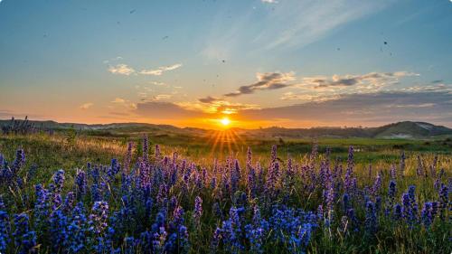 สภาพแวดล้อมโดยรอบ, Lowlander BnB in ฮีมซเกิร์ก