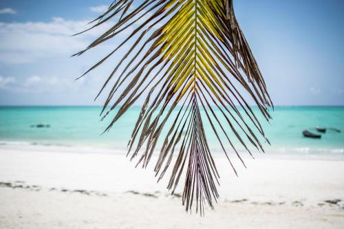 Mahali Zanzibar – Paje