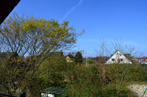 景觀, Ferienwohnung Rieka in 德爾彭