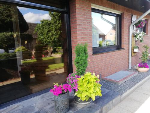 外部景觀, Ferienwohnung Rieka in 德爾彭