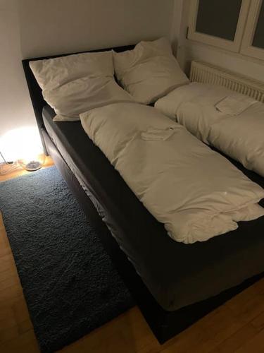 Cozy Studio Guesthouse next to city center & fair, Norimberga (foto 7)