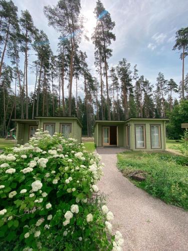 Skats, Taevaskoja Salamaa Camping in Mammaste